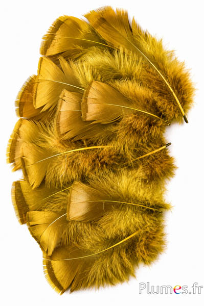 Tacchino bronzo - sbiancato - 5-15 cm - oliva-caramello